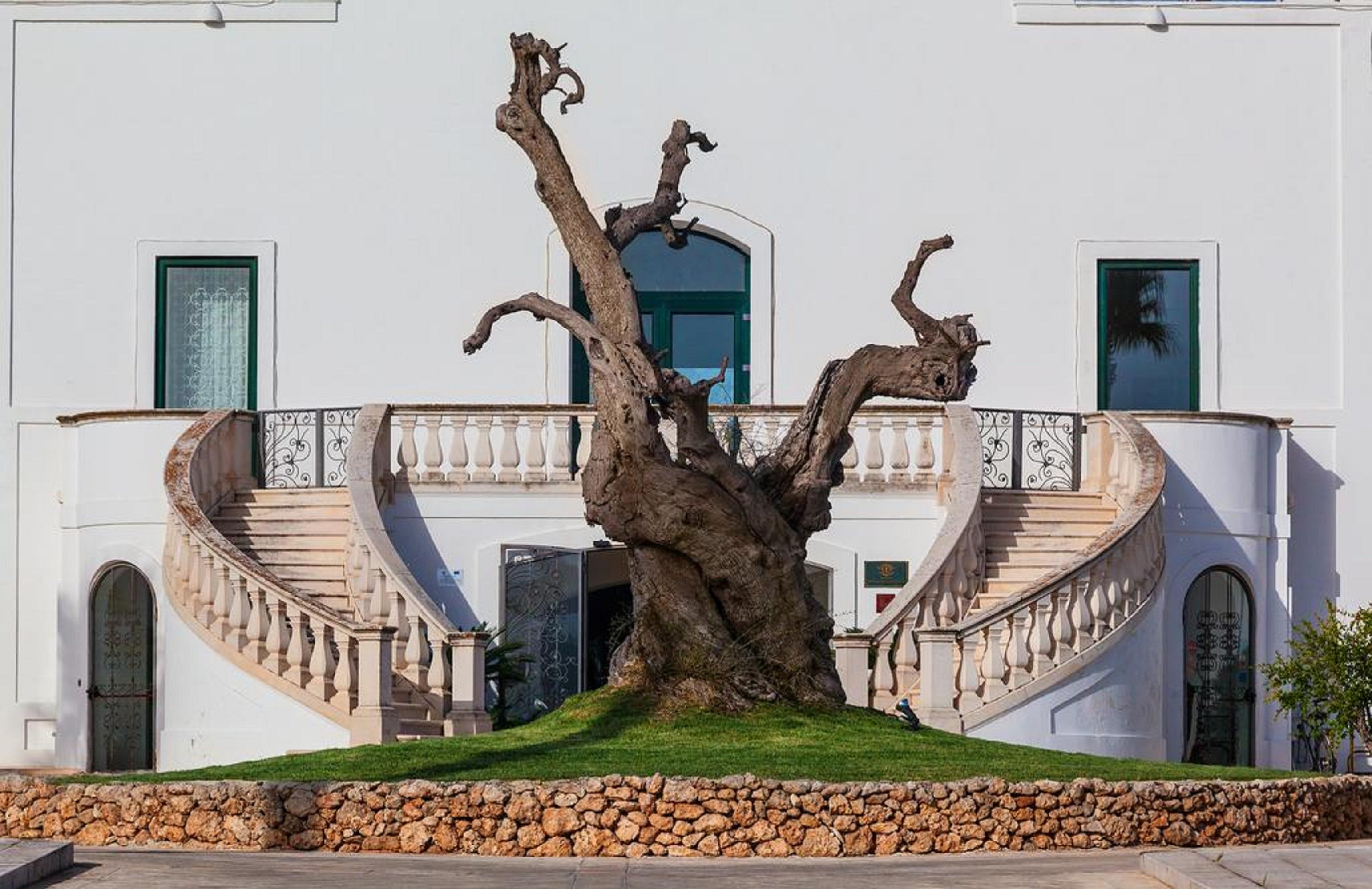 Masseria Relais Del Cardinale Hotel Fasano